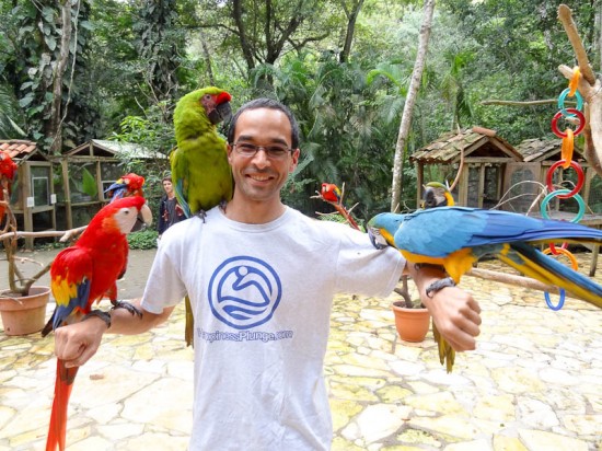 Macaw Mountain Bird Park in Honduras