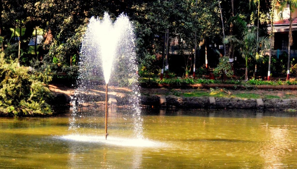 Fountains of Happiness, Peace or Knowledge.. whatever you may call them, witnessing them in front of your eyes shall still remain 'Priceless'
