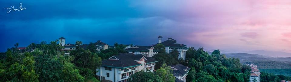 From Less Than 80 Percentile To IIM Kozhikode In The Third Attempt! - An Inspiring Tale By Rozly Gupta