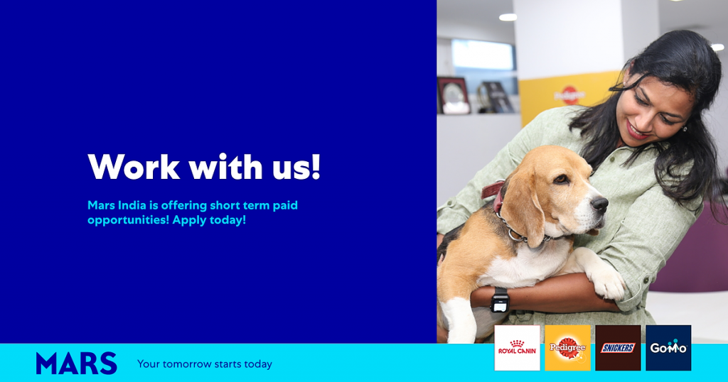 Want To Experience The Gig Economy? Mars India Has Short Term Projects For You! Apply Today!