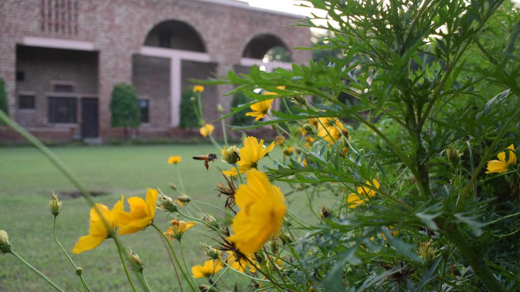 5 Learnings From Online MBA At MDI Gurgaon That Obed Daruwala Has To Share!