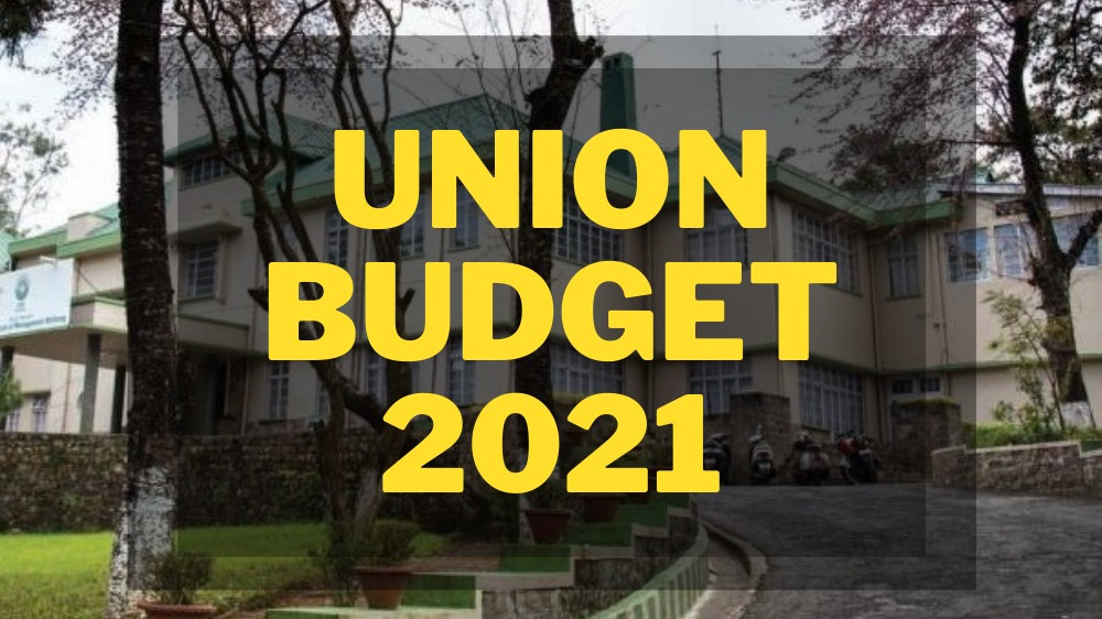 Was Budget 2021 A Mix Of Pant & Pujara?