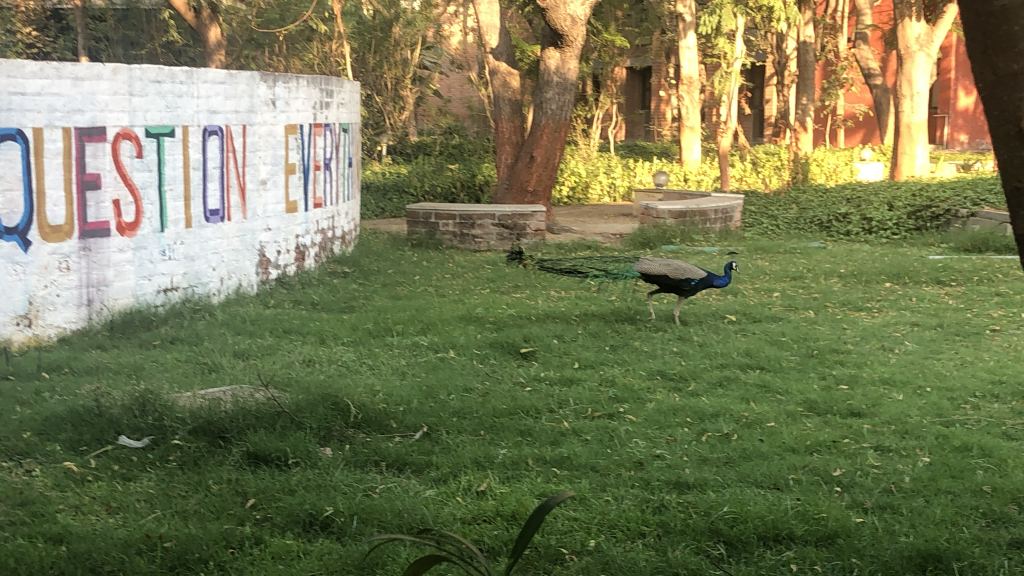 Prep Tips Before The MICAn Journey Begins || Ft. Suganda Bhatia MICA '22